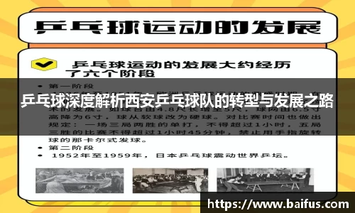 乒乓球深度解析西安乒乓球队的转型与发展之路